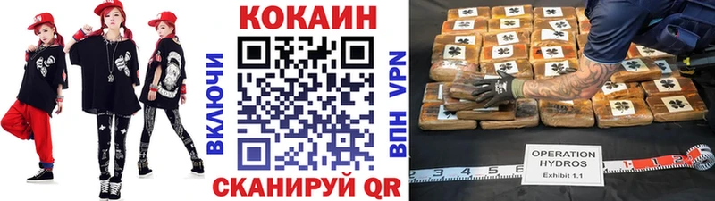 Cocaine Fish Scale  как найти закладки  Анапа 
