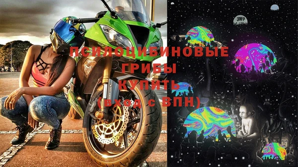 твердый Абаза
